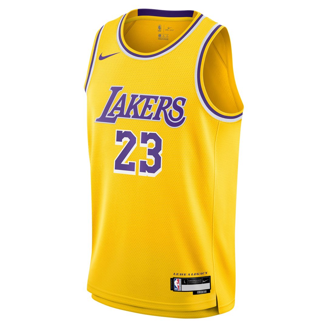 Los Angeles Lakers LeBron James Nike Youth Swingman Jersey - Icon Edition - Gold Team Jersey Sports Fan Apparel