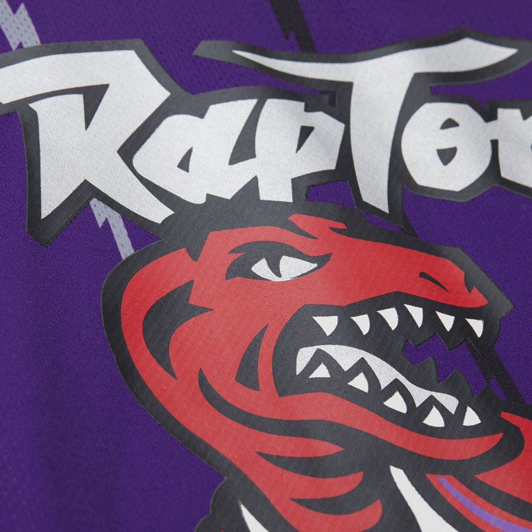Toronto Raptors Vince Carter Mitchell & Ness Unisex Maxxed Out Fashion Hockey Jersey - Purple Team Jersey Sports Fan Apparel