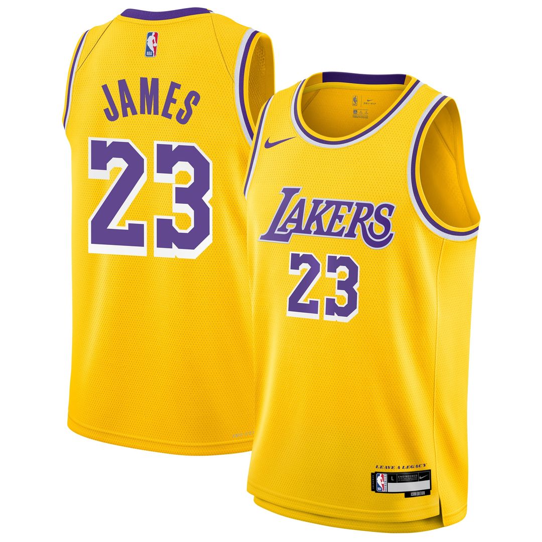 Los Angeles Lakers LeBron James Nike Youth Swingman Jersey - Icon Edition - Gold Team Jersey Sports Fan Apparel