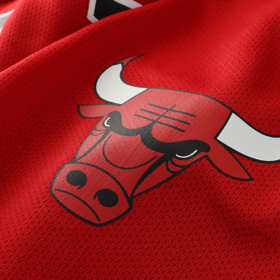 Chicago Bulls Dennis Rodman Mitchell & Ness Big & Tall NBA Hockey Jersey - Red Team Jersey Sports Fan Apparel