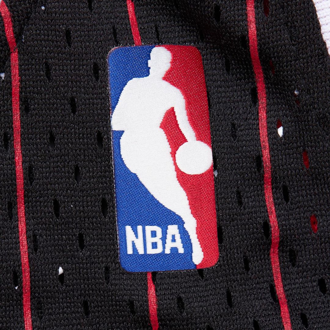 Chicago Bulls Dennis Rodman Youth 1995/96 Swingman Jersey - Black Team Jersey Sports Fan Apparel