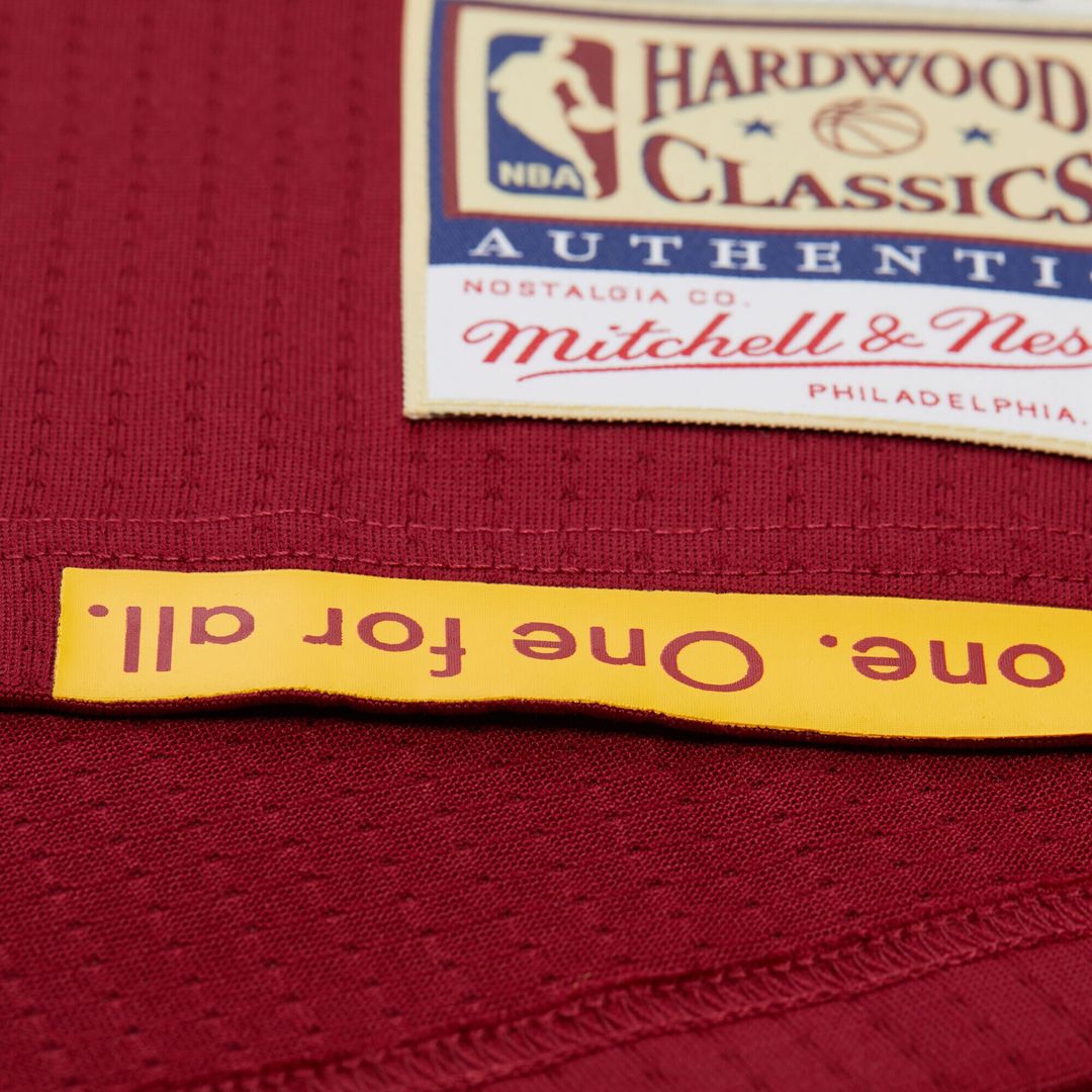 Cleveland Cavaliers LeBron James Mitchell & Ness Hardwood Classics 2015/16 Authentic Jersey - Wine Team Jersey Sports Fan Apparel